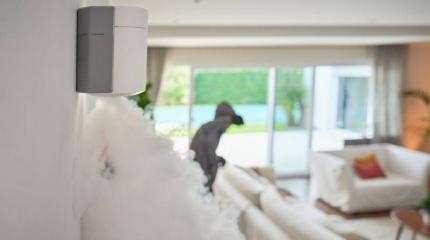 ZeroVision alarm interrupts burglary ZeroVision alarm interrupts burglary